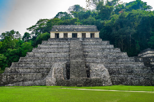 istock Maya Ruins in Palenque 1497975047