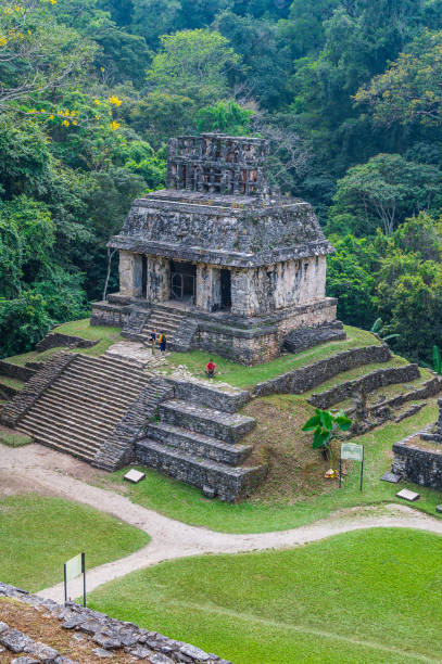 istock Maya Ruins in Palenque 1497975087