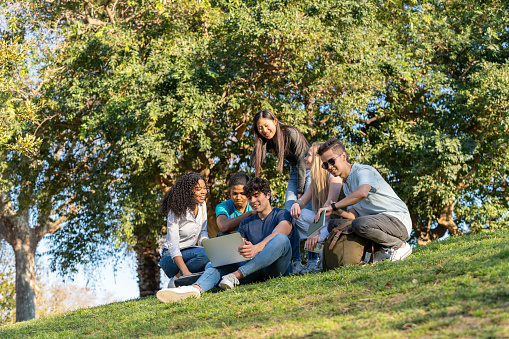 Group of teenage friends looking at a laptop sitting on top of the green grass