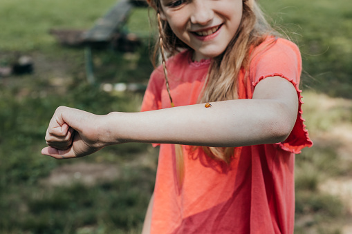 Little girl catching lady bugs while playing outdoors at summer camp