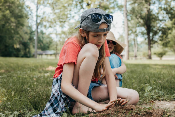 istock Cute elementary age girl digging in the dirt while playing outdoors 1497975611