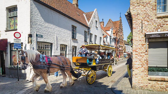 Bruges, Belgium- June 3, 2023- A woman in a straw hat drives a draft horse with a braided mane pulling a wagon loaded with tourists through the narrow historic streets of Bruges, Belgium in an early June morning.