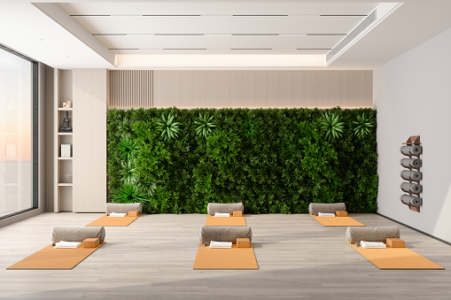 Empty Yoga Studio Interior With Exercise Mats, Pillows, Yoga Blocks And Walled Garden
