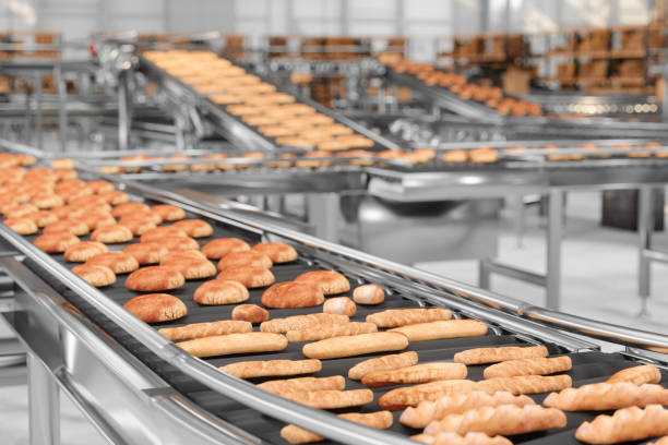 fabrique de pain. vue rapprochée du tapis roulant avec des pains cuits au four - usine agro alimentaire photos et images de collection