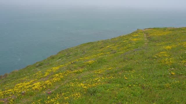 Windy Day in Point Reyes