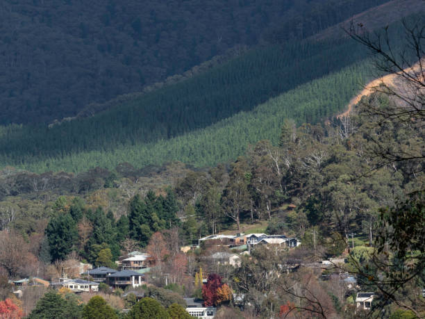istock Rural neighbourhood in valley 1497982562