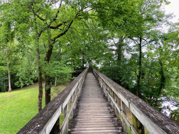 istock Tuscaloosa Riverwalk in Alabama 1497982936