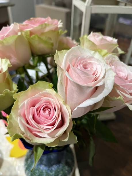 istock Bouquet of Roses 1497982938