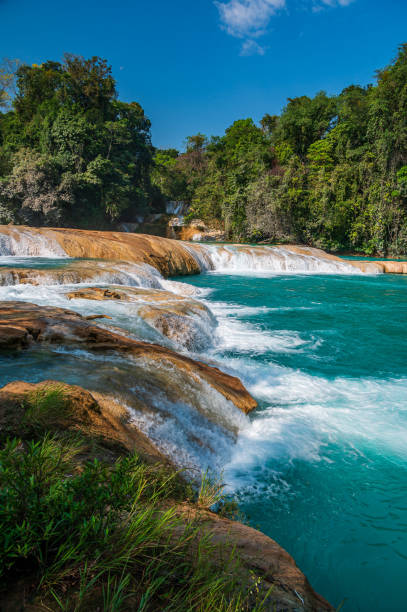 istock Agua Azul Waterfalls in Chiapas 1497982998