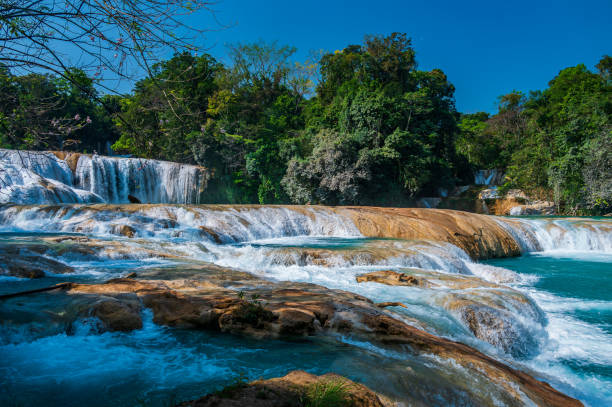 istock Agua Azul Waterfalls in Chiapas 1497982999