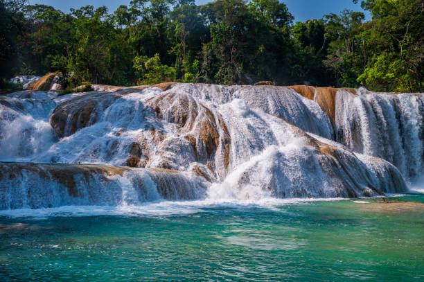 istock Agua Azul Waterfalls in Chiapas 1497983000