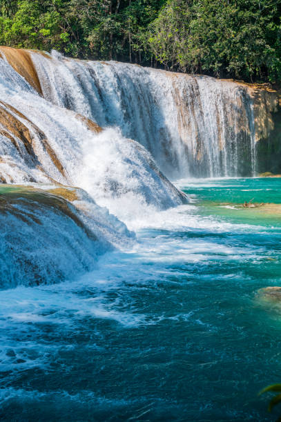 istock Agua Azul Waterfalls in Chiapas 1497983005