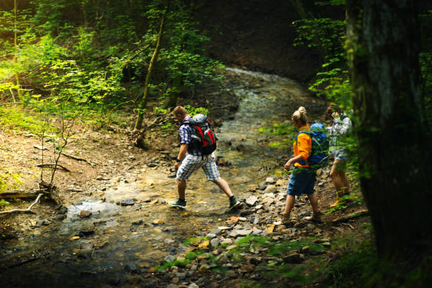 istock Friends hiking through woods. 1497983013