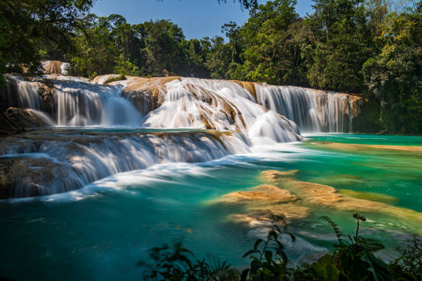 istock Agua Azul Waterfalls in Chiapas 1497983023