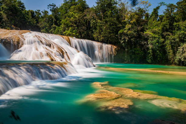 istock Agua Azul Waterfalls in Chiapas 1497983024