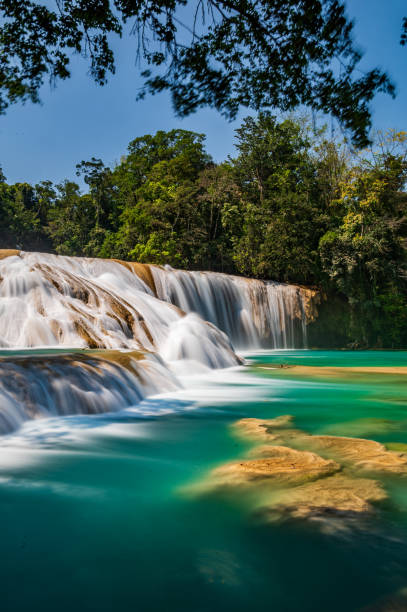 istock Agua Azul Waterfalls in Chiapas 1497983042