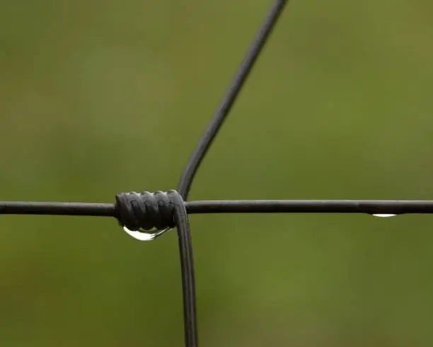 Photo of close up shot of wire with water droplets hanging on it