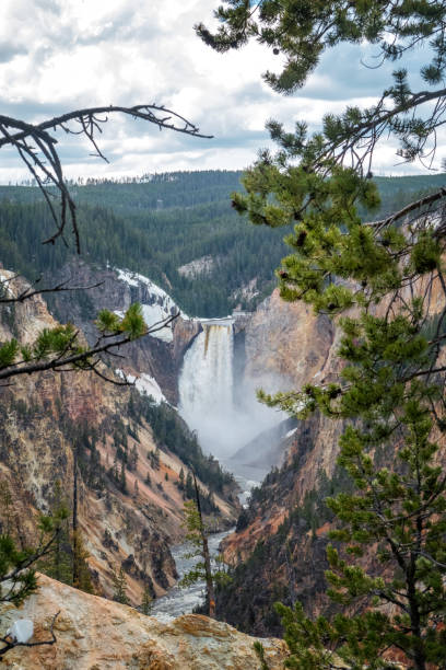 istock Grand Canyon of Yellowstone 1497985594