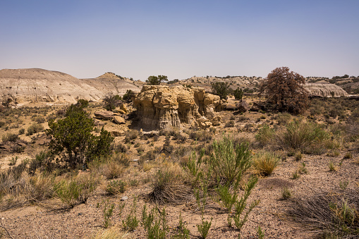 Unique geological features in New Mexico wilderness, USA