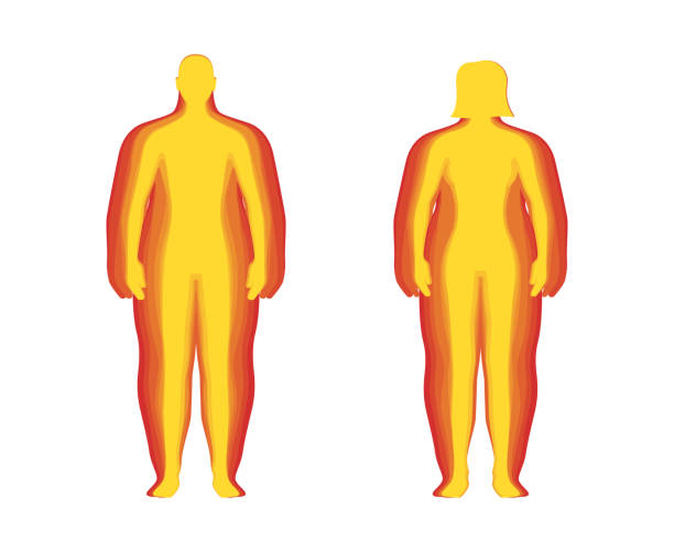 BMI classification measurement infographic set concept. Man and woman Body Mass Index level. Combination person figures different weights from overweight to underweight. Vector illustration BMI classification measurement infographic set concept. Man and woman Body Mass Index level. Combination person figures different weights from overweight to underweight. Vector eps illustration slim woman body stock illustrations