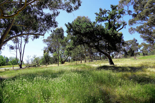istock Lal Lal, Victoria, Australia 1497993523
