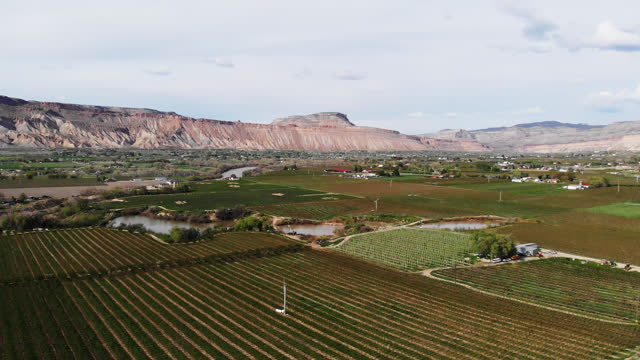Gazing down upon Palisade, Colorado, the beauty of rural landscapes unfolds. Fields, orchards, and farms grace the countryside along a peaceful country road, leading the eye towards the magnificent presence of Mount Garfield.