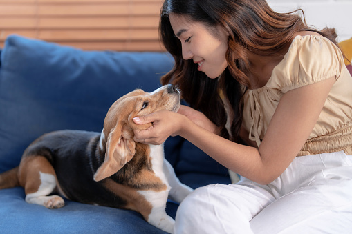 Happy Asian woman spending her free time playing with her pet at home.