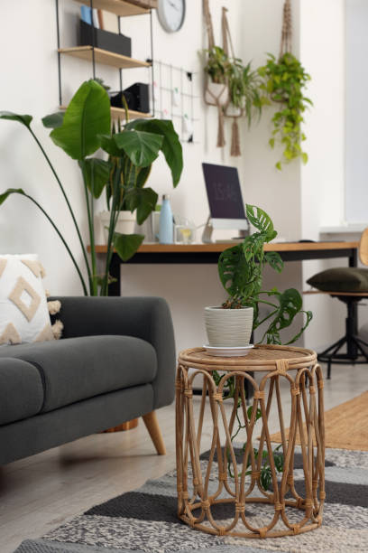 istock Cozy workplace with computer and houseplants near sofa at home 1498009480