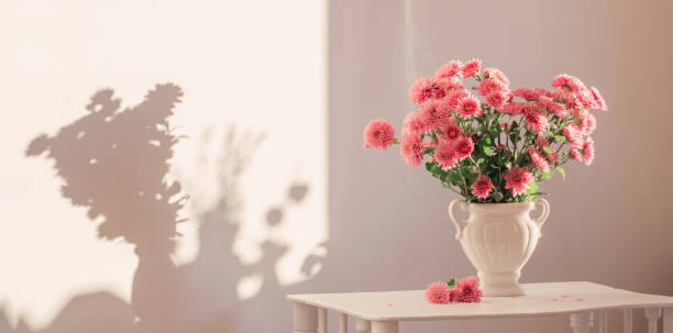 istock pink chrysanthemums in white vase on white interior 1498012059