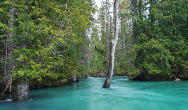 Nisga'a Lava Bed Provincial Park