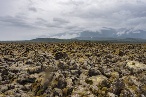 Nisga'a lava beds near New Aiyansh in Northern BC.