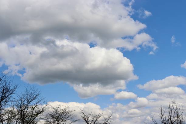 puszyste białe chmury - storm cloud stratosphere overcast four seasons zdjęcia i obrazy z banku zdjęć