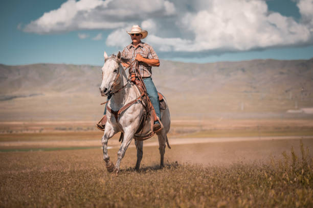 istock Cowboy Riding A Horse In Nature 1498026169