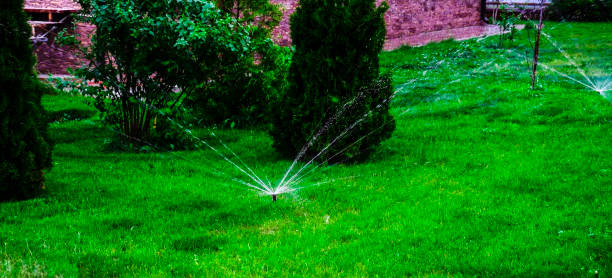 istock Sammer in the garden. Automatic watering watering green lawn 1498035338