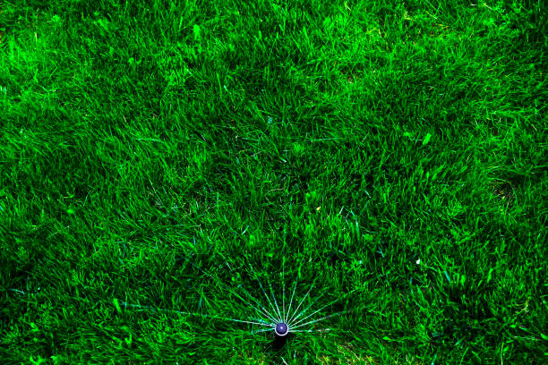 Sammer in the garden. Automatic watering watering green lawn