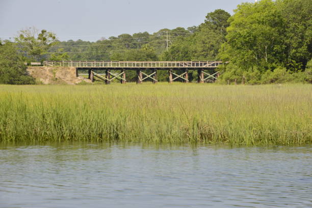 istock The Spanish Moss Trail Bridge From Afar 1498041133