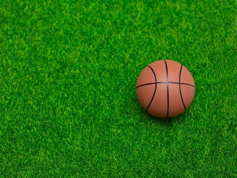 football soccer ball basketball tennis ball and racket laid on grass at sunset