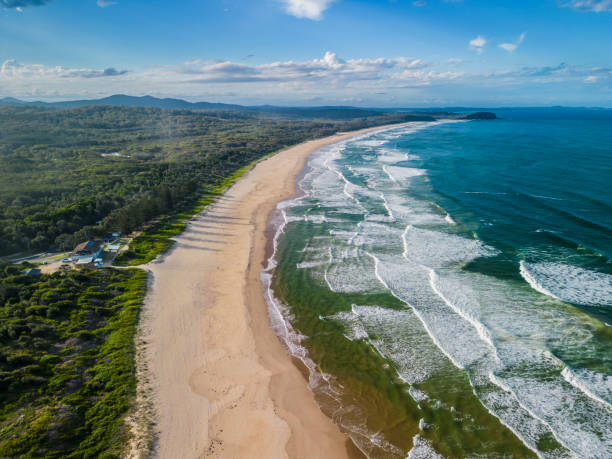 istock Aerial view of wide sandy beach with forest and large waves 1498041698