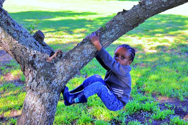 Family having fun together outside in forest. Brother and sister climbing a tree and sitting on branch in wood on summer day.