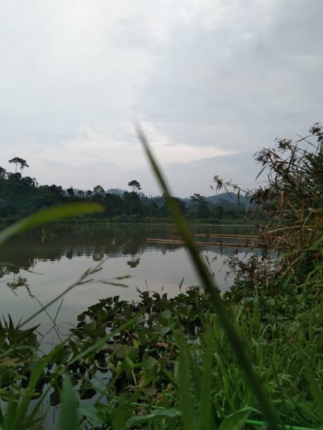 istock Graceful Water's Edge: Majestic Grass Framing the Lake 1498049767