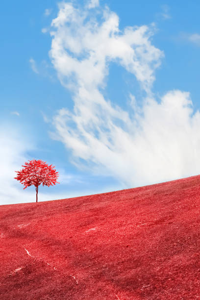 istock Fantasy landscape. Autumn lonely tree on a red background. 1498050205