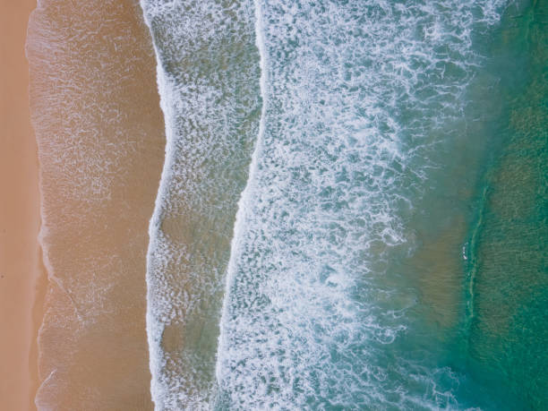 istock Aerial Beach sea 1498054142
