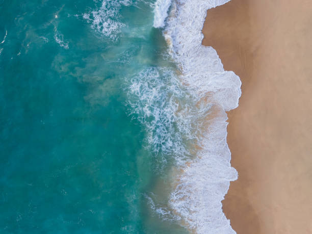 istock Top view beach water wave foamy on sand beach 1498054215