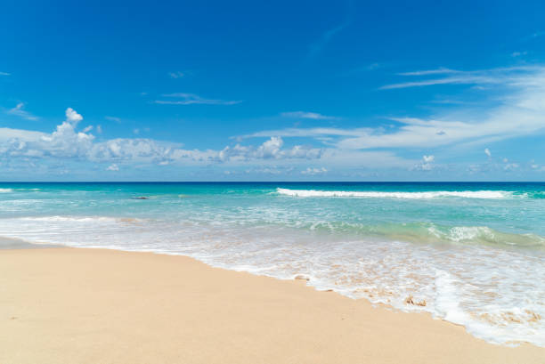 istock Phuket beach Thailand in good weather day 1498054216