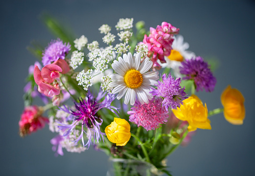 Variety of wild flowers in a glass vase.