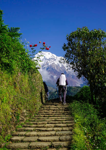 Ghandruk, Nepal - Oct 21, 2017. A man with luggage trekking on mountain in Ghandruk, Nepal.