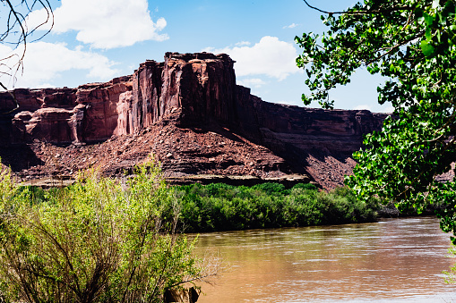 Below the vast expanse of high red rock cliffs, the majestic scene unfolds as the Green River gracefully winds its way at the base. The cliffs soar, their fiery hues contrasting with the tranquil emerald waters below. The sheer grandeur of the towering rock formations casts an awe-inspiring shadow as if guarding the serenity of the flowing river. Along the riverbanks, a vibrant tapestry of green trees and foliage flourishes, providing a striking contrast against the starkness of the cliffs. The harmonious blend of nature's elements, the towering cliffs, the flowing river, and the lush greenery, create a breathtaking landscape that stirs the soul.