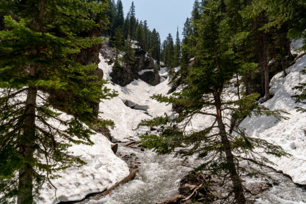 Nestled within the scenic Wasatch Mountains, Doughnut Falls revealed its enchanting beauty on a warm spring day. The lingering snow draped the canyon floor, contrasting against the vibrant greenery that sprouted with newfound life. A gentle breeze carried the invigorating scent of pine through the air, mingling with the sweet fragrance of wildflowers. The cascading waterfall, framed by moss-covered rocks, tumbled gracefully into a crystal-clear pool below. Sunlight filtered through the canopy, casting ethereal beams onto the glistening water. The symphony of rushing water, birdsong, and rustling leaves created a serene melody, captivating visitors who marveled at the harmonious convergence of winter's remnants and spring's awakening.