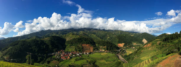 terraced rice field at autumn - lao cai province bildbanksfoton och bilder