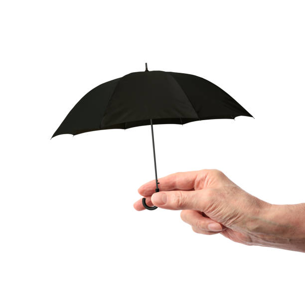 istock Hand holding a small black umbrella on white background 1498063059